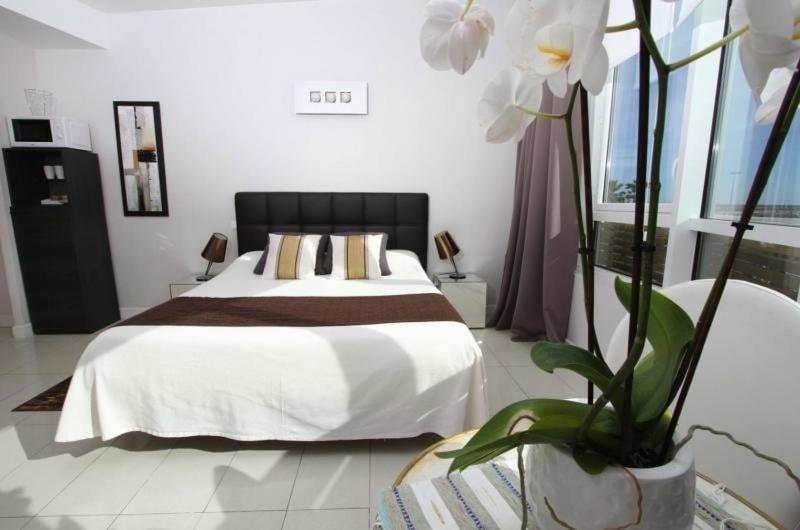 Bleu Mer Duplex & Suites Saint-Cyprien  Dış mekan fotoğraf